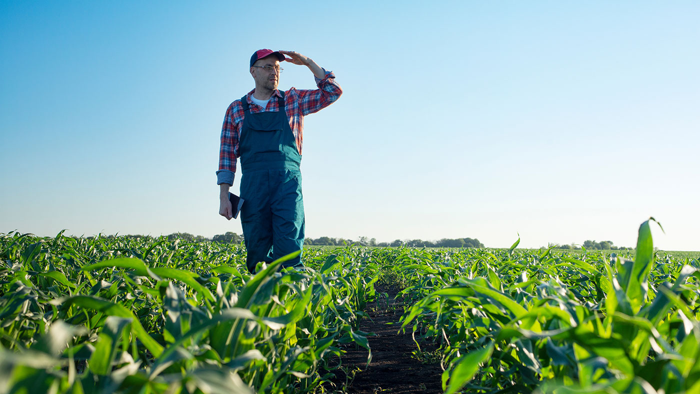 Zapraszamy do współpracy!